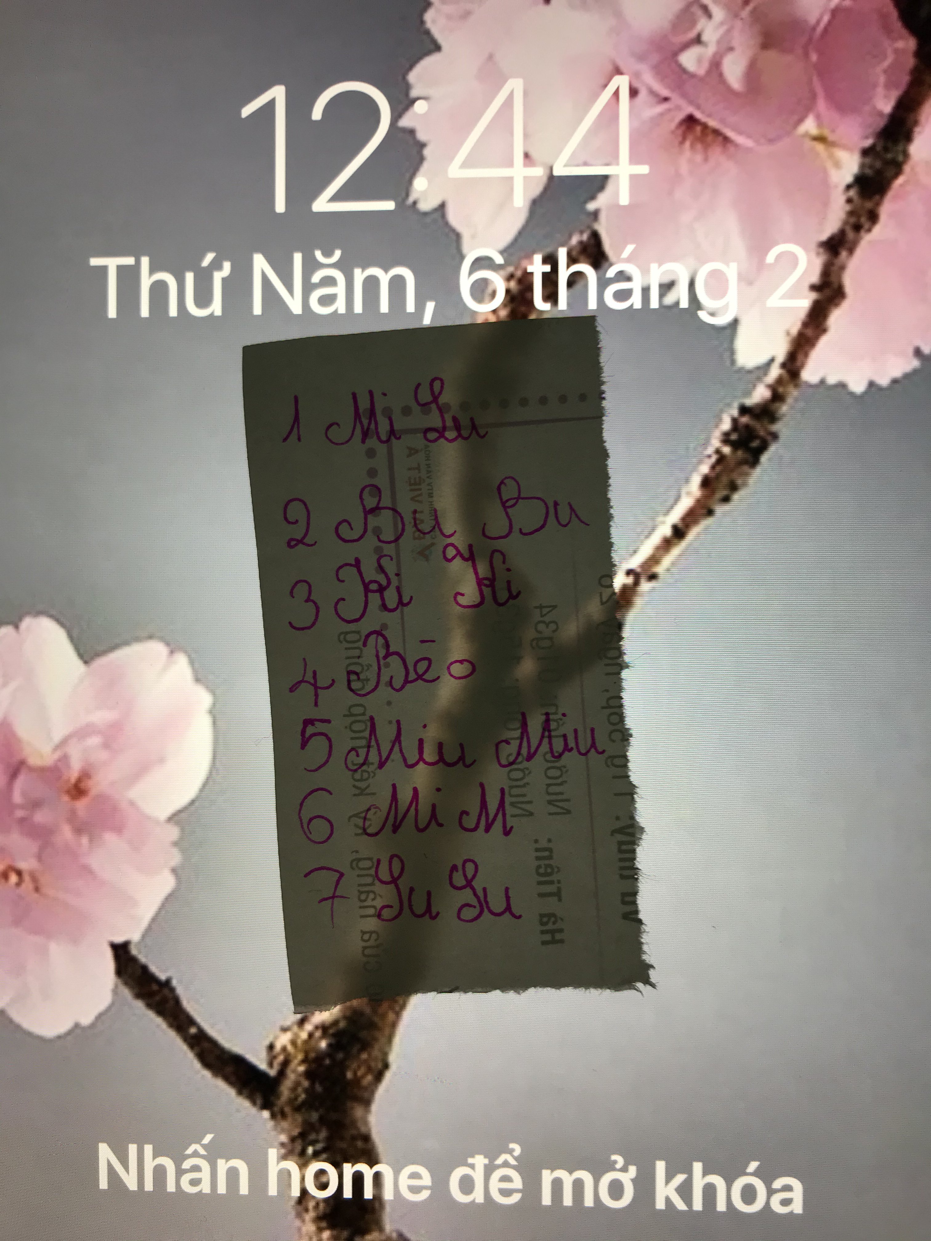 7C91431A-4775-4E7F-A077-30E0DF4A4AE7.jpeg