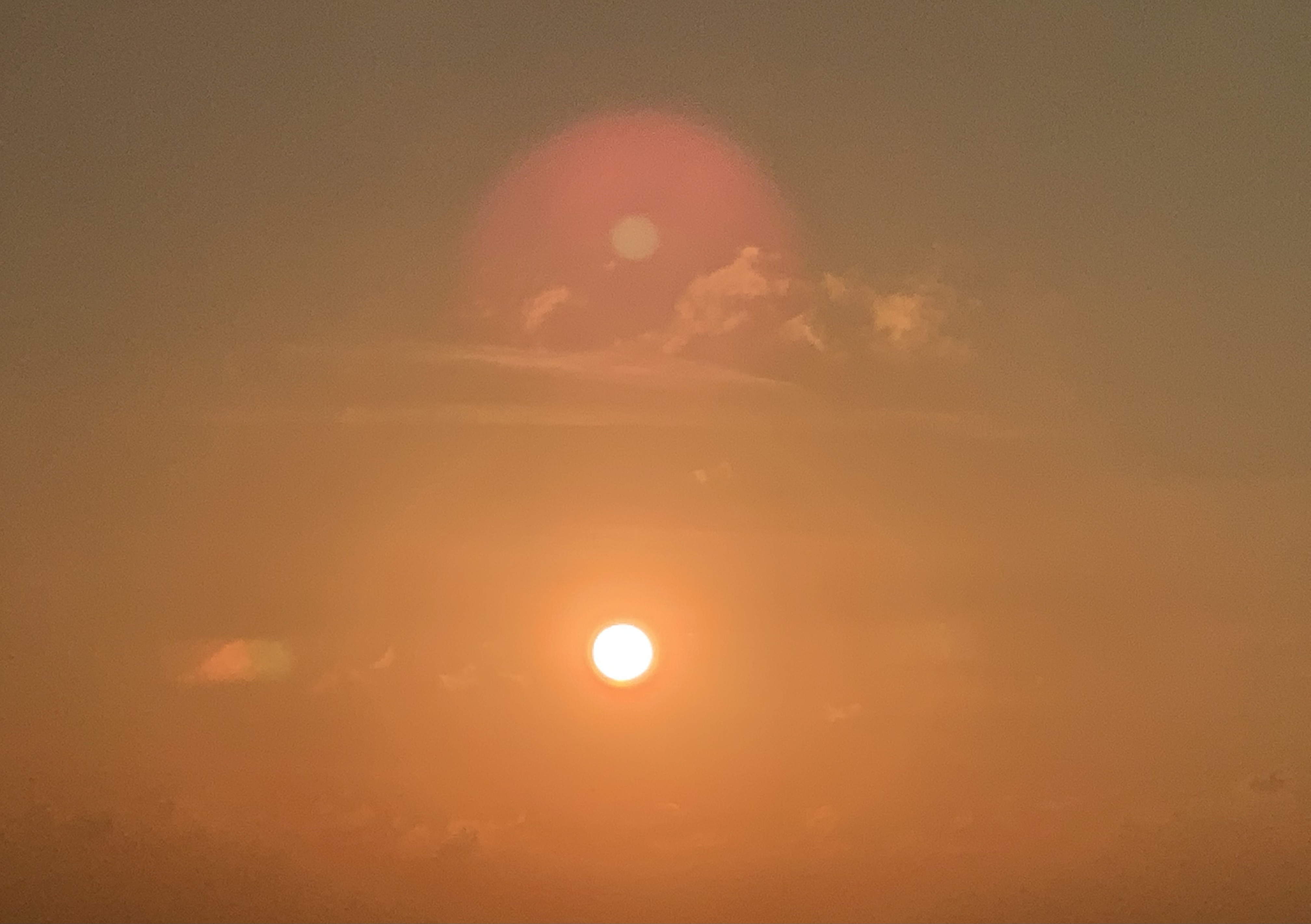 7DA7E953-6567-4C07-B76B-2DA0149CC848.jpeg