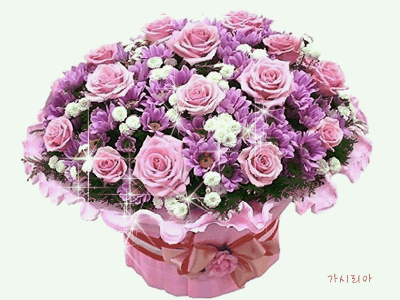 배경8.gif
