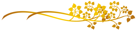 (8).png