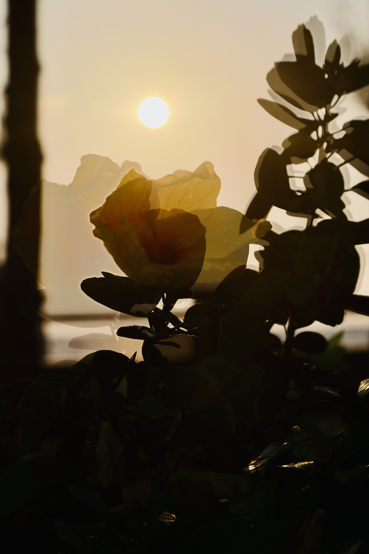 83BB72B2-6108-4A71-8D2F-71CD3295243C.jpeg