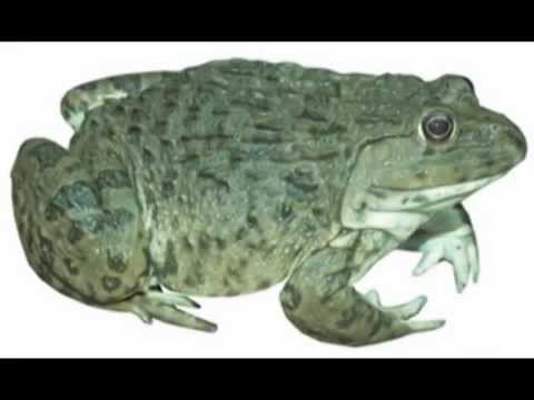 85464A4D-00B5-474C-9338-C5CFAD8875CA.jpeg