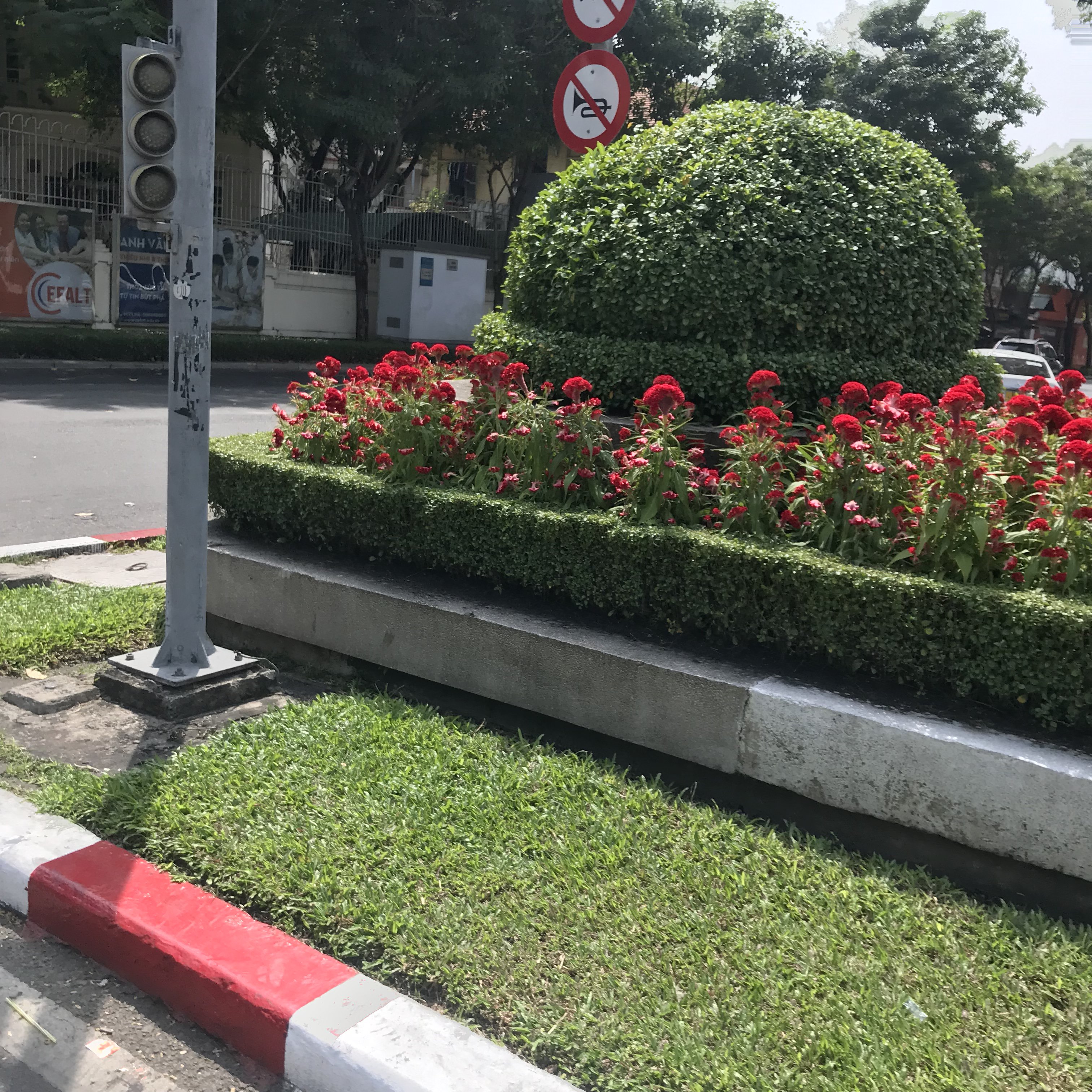 85B6E9E1-82DE-4A6D-BF18-B48D334DD0A7.jpeg