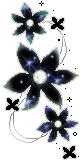 887141ew9gfq8kb6.gif