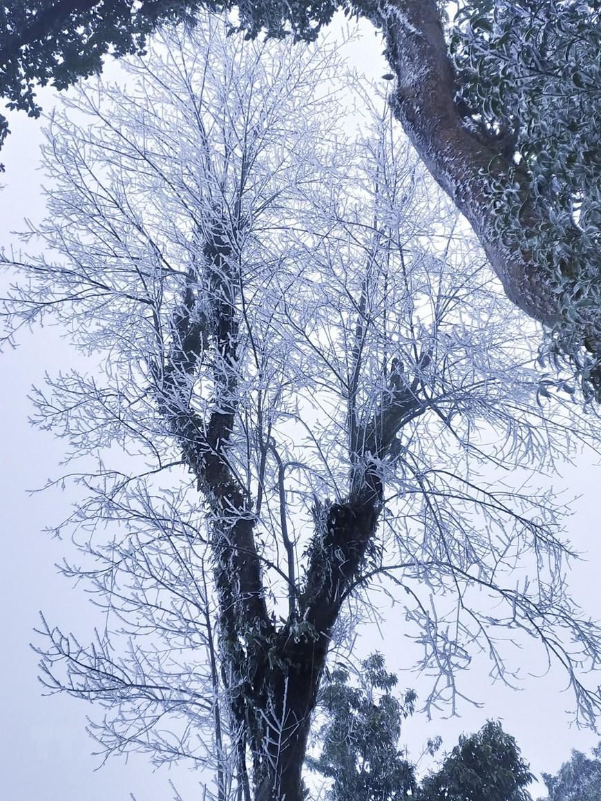 8f3d2e51fc12154c4c03.jpg
