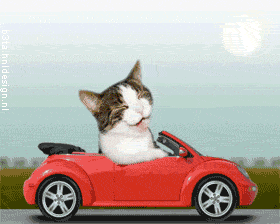 8fc2401a0223d794f3200bbf29cdbdfd.gif