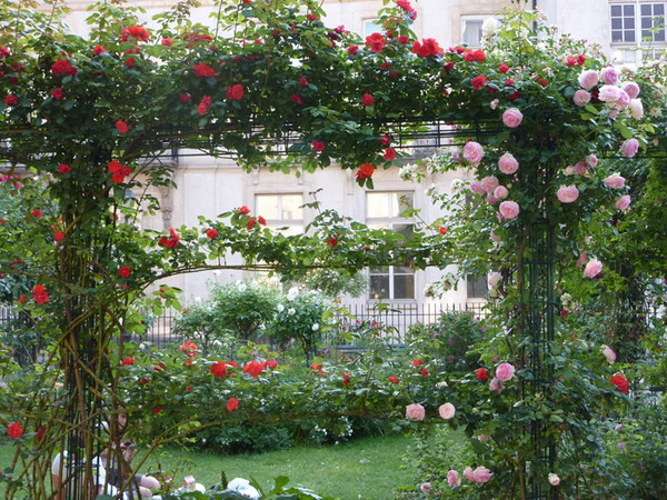 93982217_rosesingardenarchway1[1].jpg