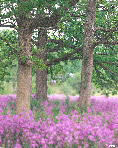 95014490581395a219d54292b071bb44.gif