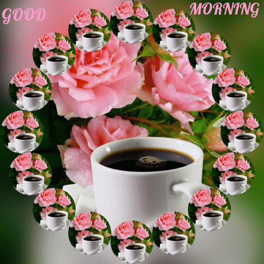 9fc41a67f03aadb9b2cb52a882f0c5e8.gif