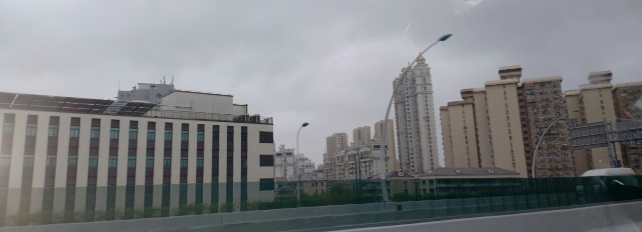 _20190810_080822.JPG