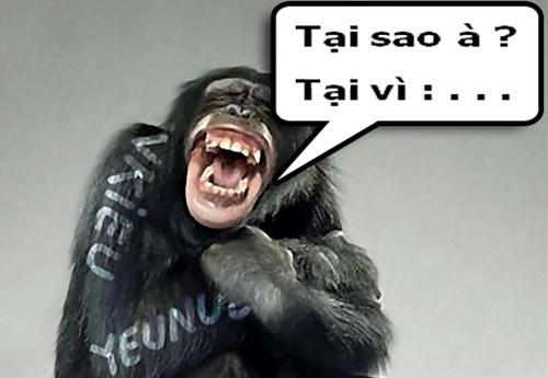 a05bb3a3b77a4dd5869cc9bec9130a7f.jpg