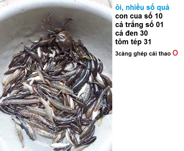 A14D4B43-CAA3-47BC-A525-B0AF915CABE1.jpeg
