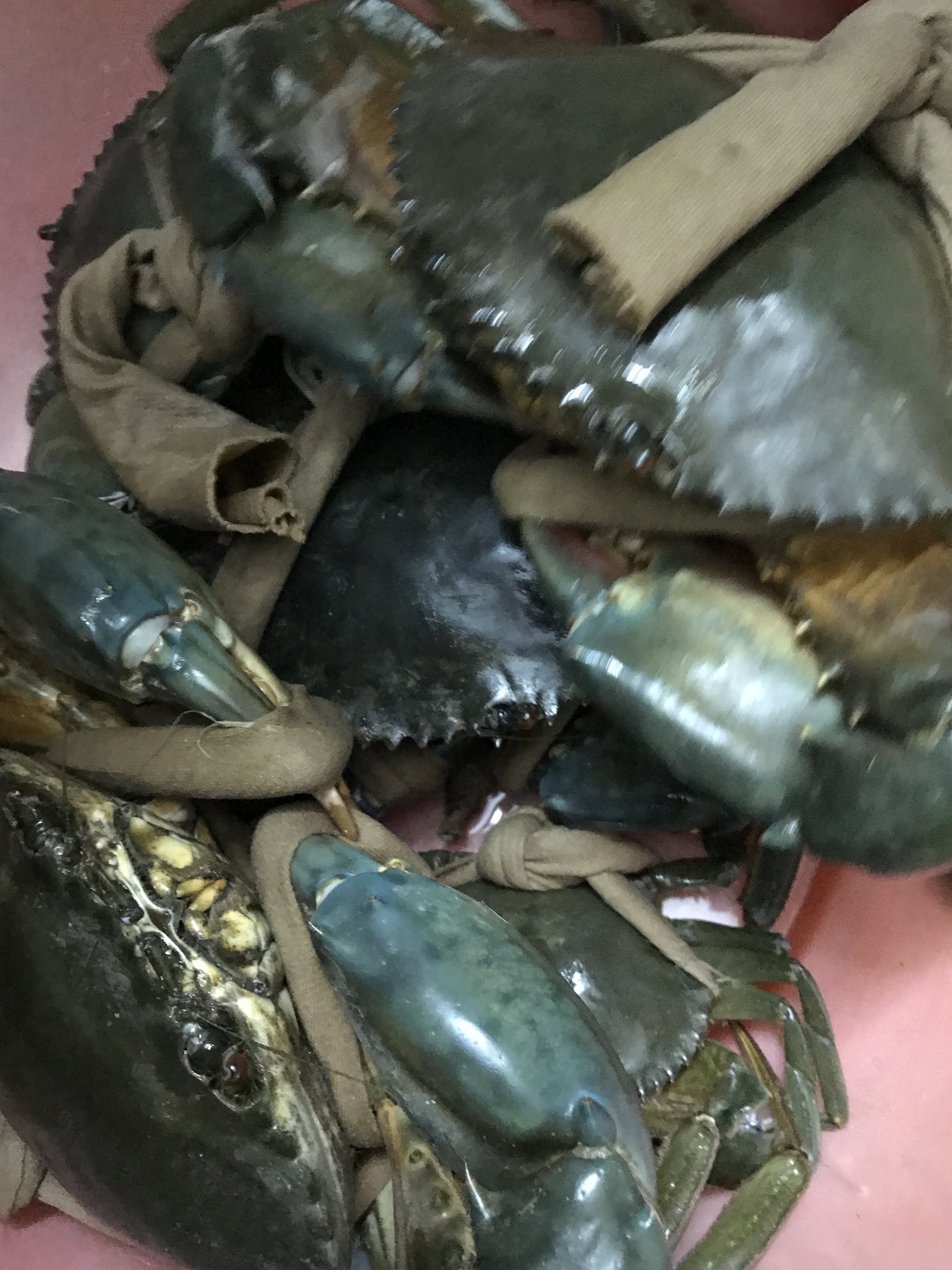 A1A7A771-C8D6-40E1-9105-9A5978836D93.jpeg