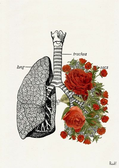 a2c39c06413ac9f2a7205c7964c1f215.jpg