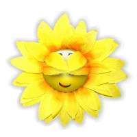 a63376bd0e2226f33a178bf150d25acc.gif