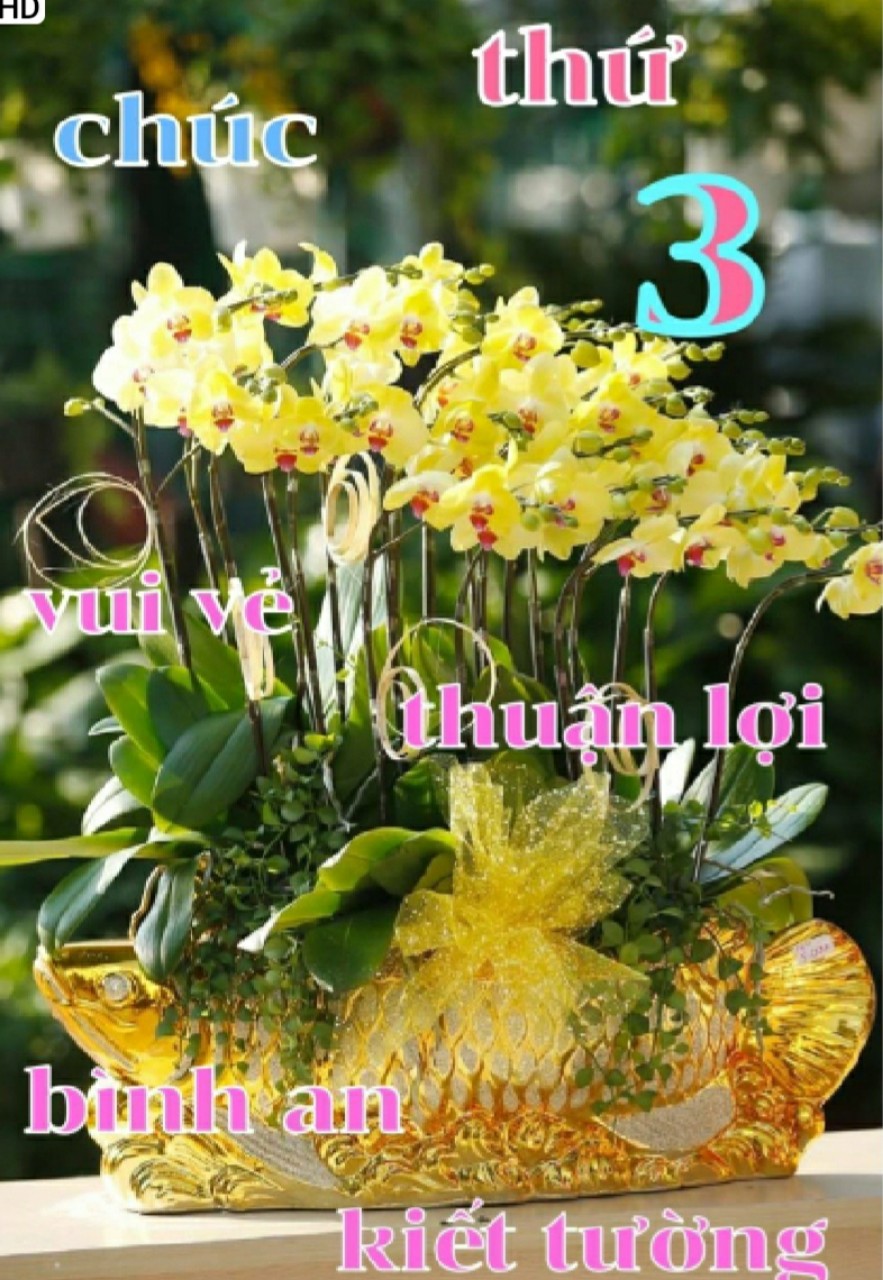 AB652005-23FE-4F73-A9F6-FC76B193CB45.jpeg