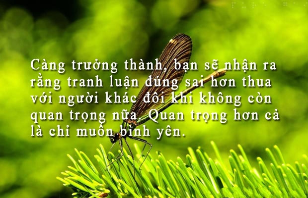 ABF8FB10-066B-4D00-9694-0EA82B7BEEA2.jpeg