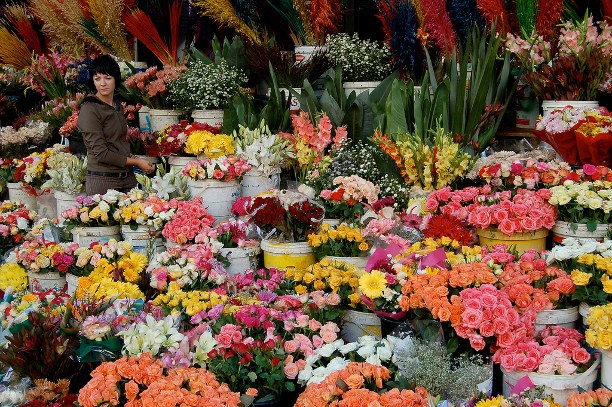 Adderley_Street_flower_seller[1].jpg