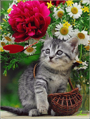 aee3549e613312b0f21f55ad0c5a2353.gif