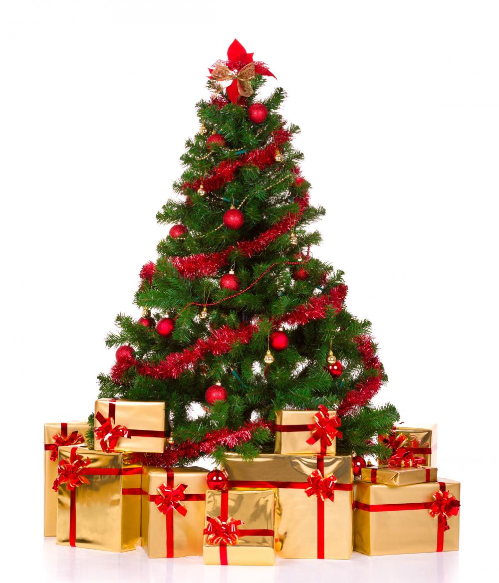anh-cay-thong-noel-dep-nhat_051044990.jpg