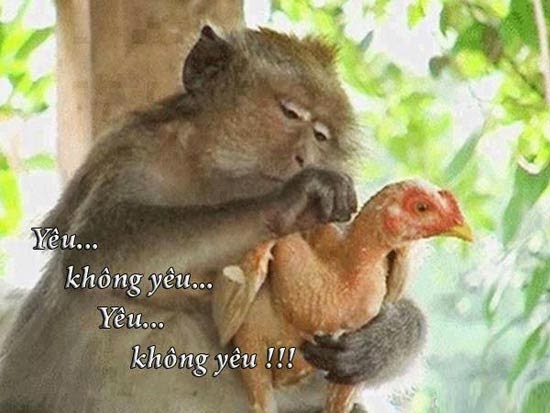 anh-che-facebook-hai-huoc-bua-vui-nhon-41.jpg