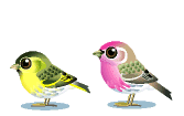 Anh-dong-gif-chim-dep-Ohaylam.com-(46).gif