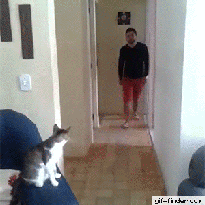 anh-dong-hai-huoc-8-1504460158095.gif