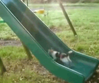 anh-dong-hai-huoc-cho-facebook-3.gif
