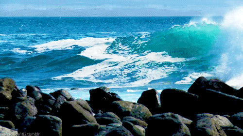 anh-dong-tuyet-dep-ve-bien-hut-hon-dan-ua-xe-dich-hinh-9[1].gif
