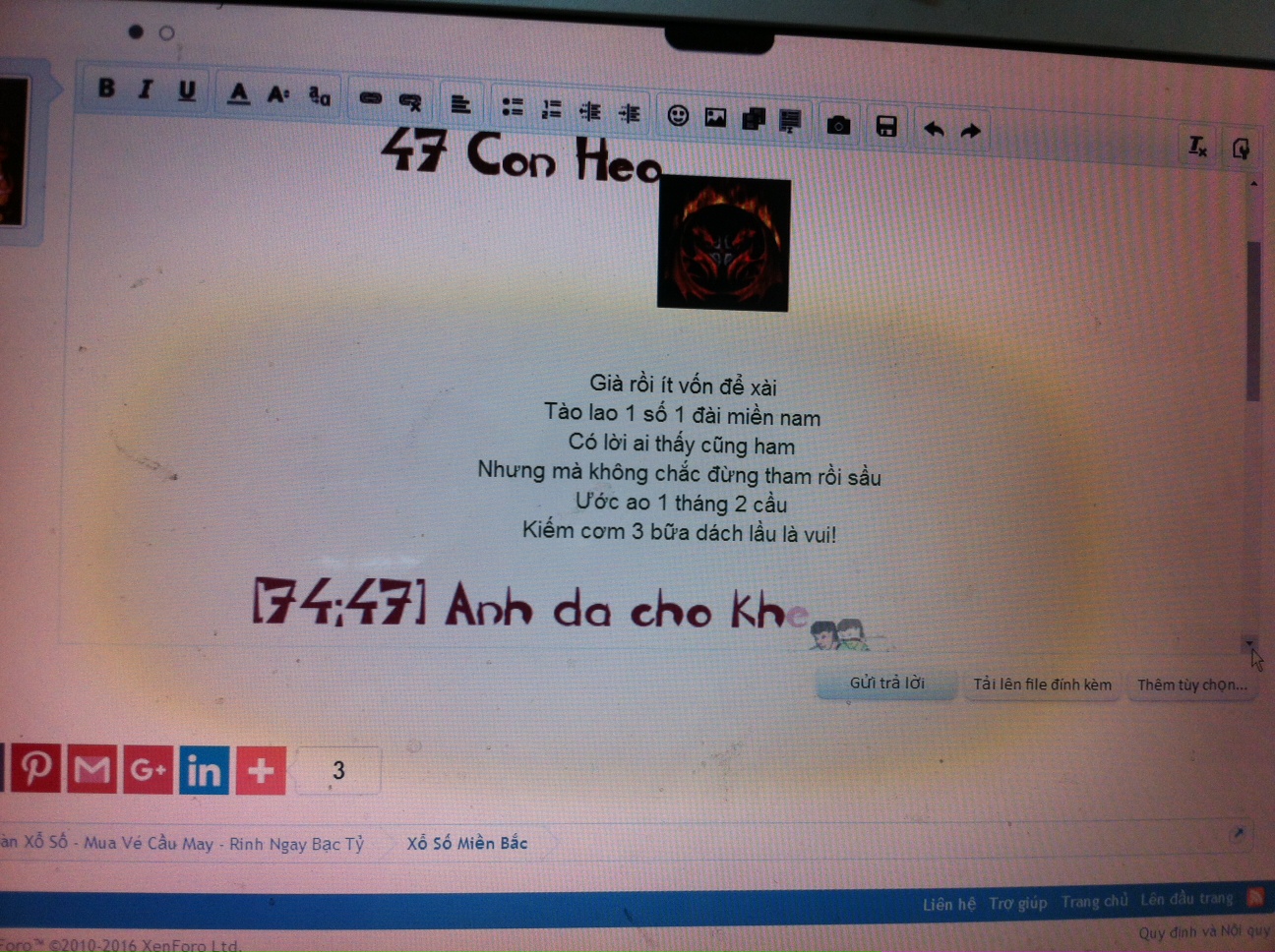 ảnh.JPG