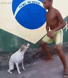 Anh-vui-nhon-hai-huoc-gif-series-11-10.gif