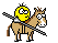 anim.12.gif