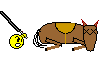 anim.16.gif