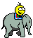 anim.33.gif