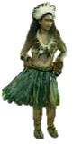 animaatjes-hawaii-76740.gif
