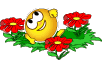 animaatjes-smilies-19379.gif