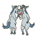 animal-graphics-funny-animals-507619.gif