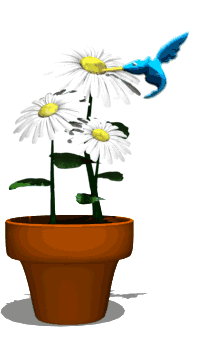 animation_gif_anh_dong_powerpoint.vn_chim__63_.gif