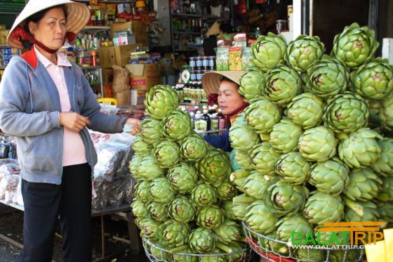 artichoke-at-Dalat-market[1].jpg