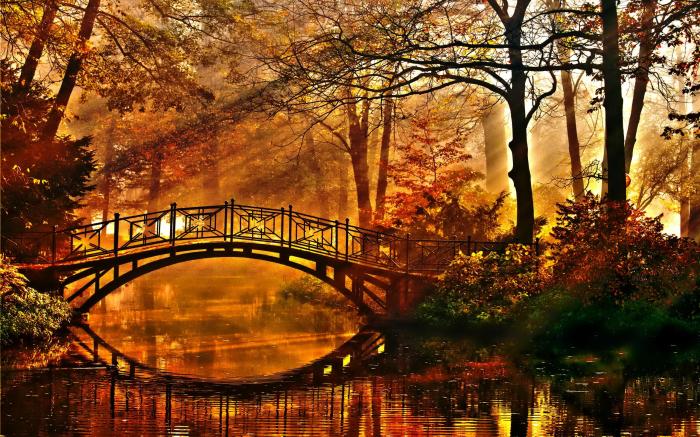 autumn-bridge-153798-high-quality-and[1].jpg