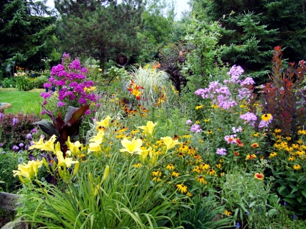 autumn-in-the-garden-flowers-reds-and-oranges-for-summer-finals-10-368[1].jpg
