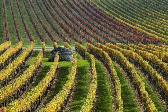 autunno_5_-_valle_della_loira[1].jpg