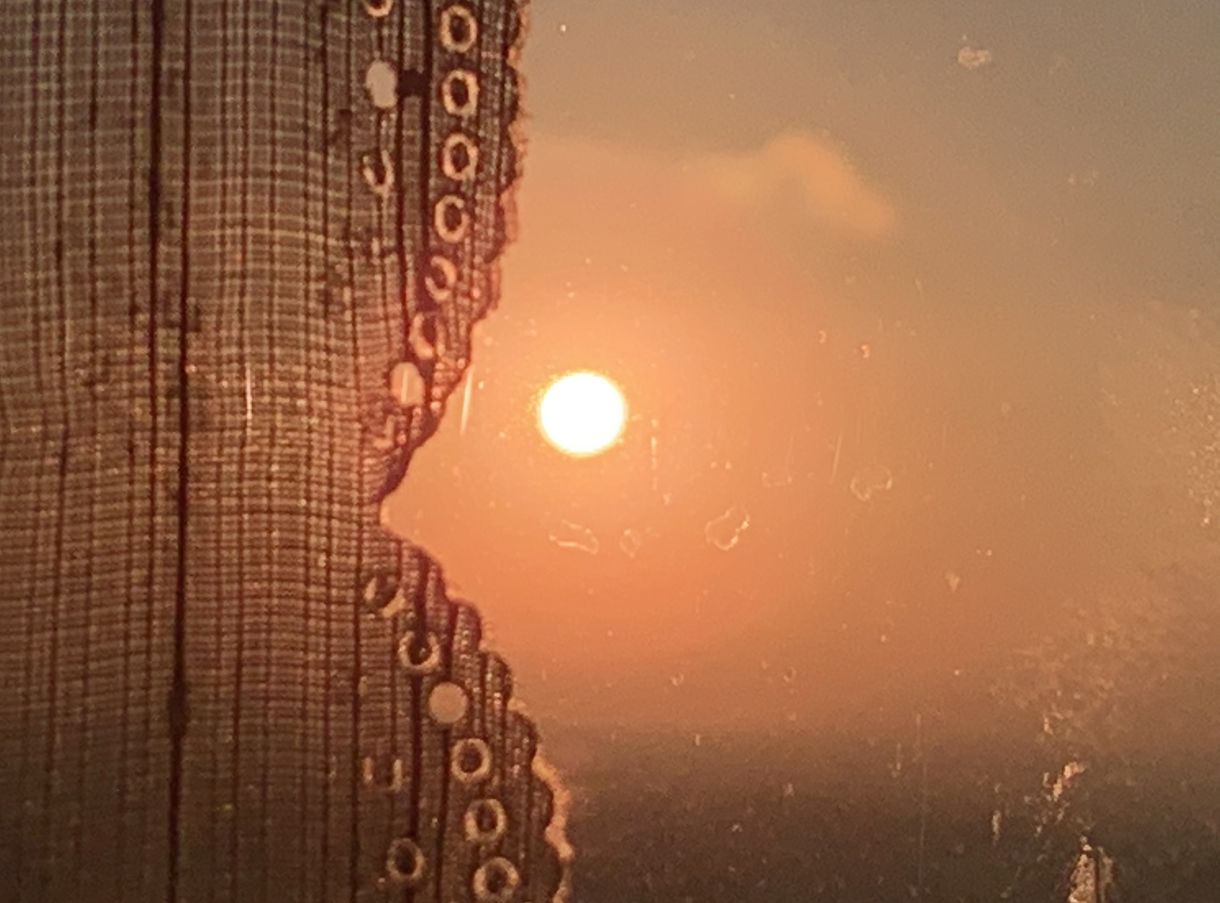 B5320B06-6C67-44AA-B186-59161AC9A349.jpeg