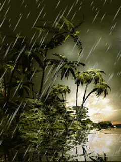 b7242913bf312ecc60d6c1c1e15d4220.gif