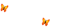 babochkia-484.gif