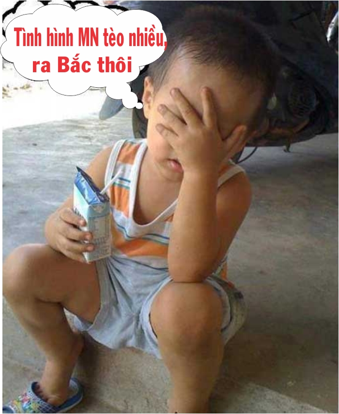 bacphat.jpg