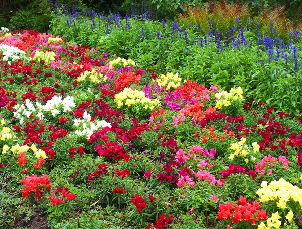 bed-flower-garden-s-214e63c1acca3a18[1].jpg