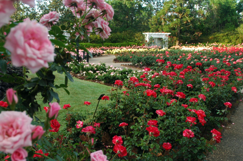 bellingrath-gardens[1].jpg