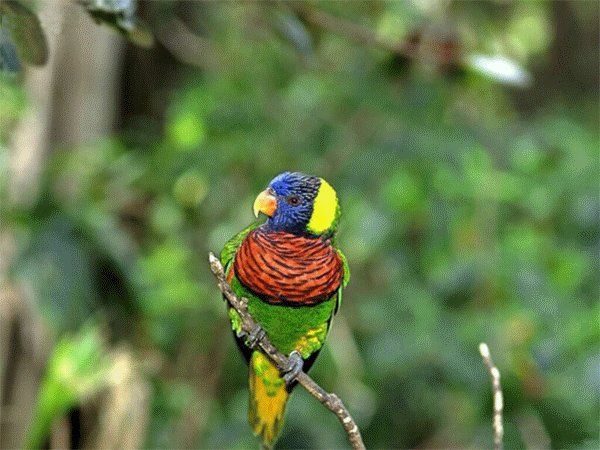 blog_20130622090029458173[1].gif