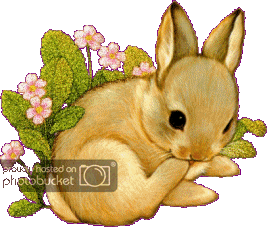 blogchezzaza121441785195gros_zps0c49b566.gif